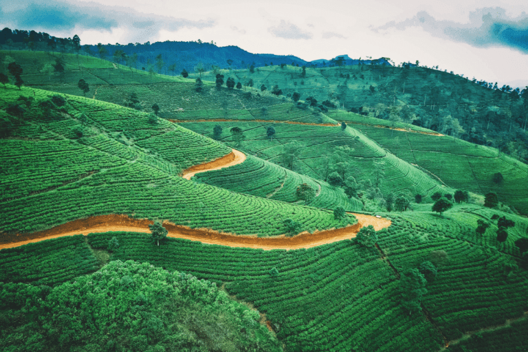 Vibrant green rice terraces in Sri Lanka. Here are 10 bucket list travel destinations with The Travel Yogi. Photo credit: Jaromír Kavan