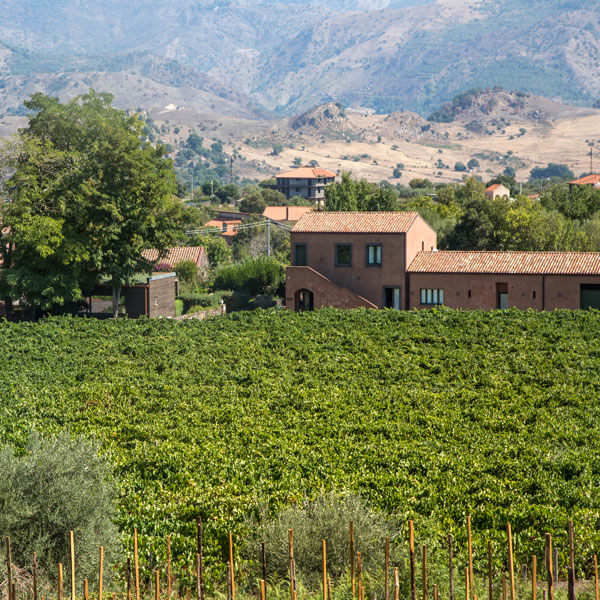 Sicily Yoga retreat and wine