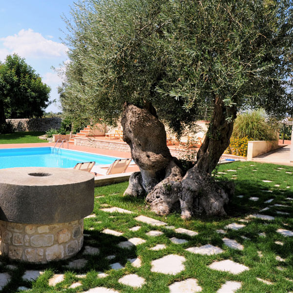 Sicily yoga retreat adventure pool