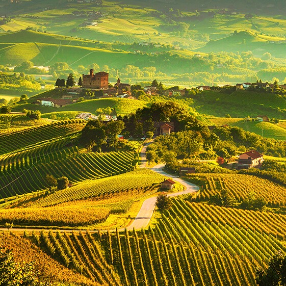 Langhe vineyards sunset panorama, Grinzane Cavour, Unesco Site, Piedmont, Northern Italy Europe.