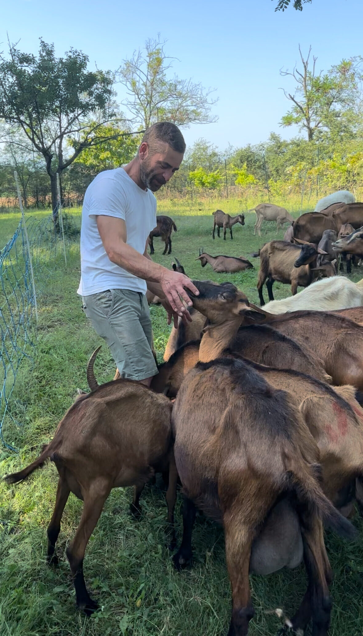 Goat guy in Italy via Dropbox.