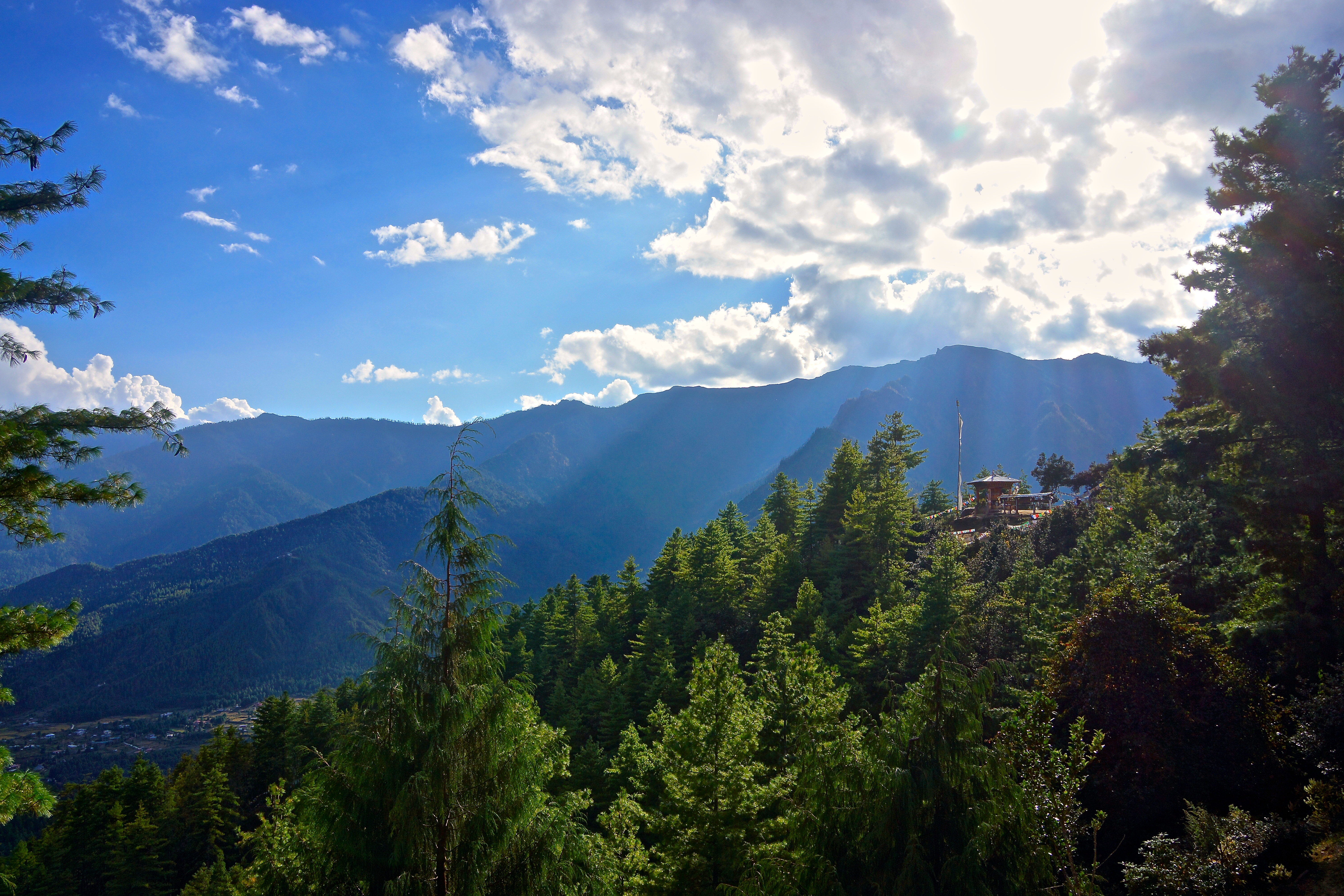 Bhutan Forest via Dropbox