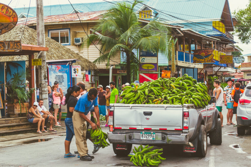 Banana Delivery in Panama via Dropbox.