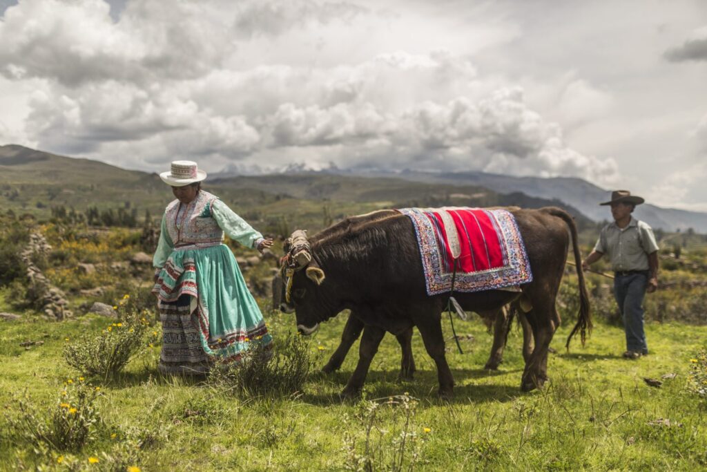 Farming Community, Sacred Valley, Peru via Dropbox.