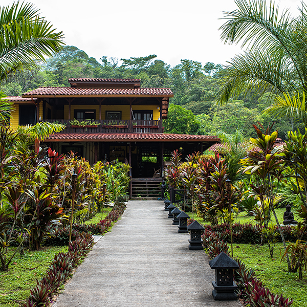 Panama brings together vibrant culture with island life. Snorkel mangroves, sail on a cataraman, and go barefoot on this yoga retreat in Panama.