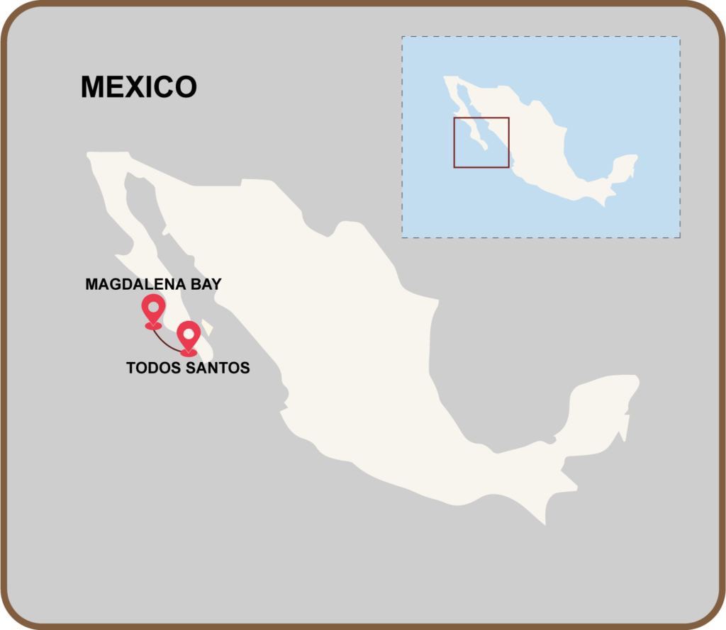 Mexico yoga retreat adventure map with The Travel Yogi Magdalena Bay whales Todos Santos