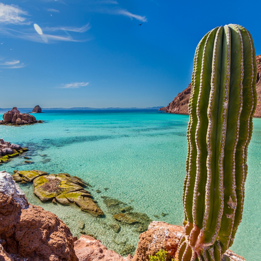 Baja view Mexico yoga retreat adventure The Travel Yogi