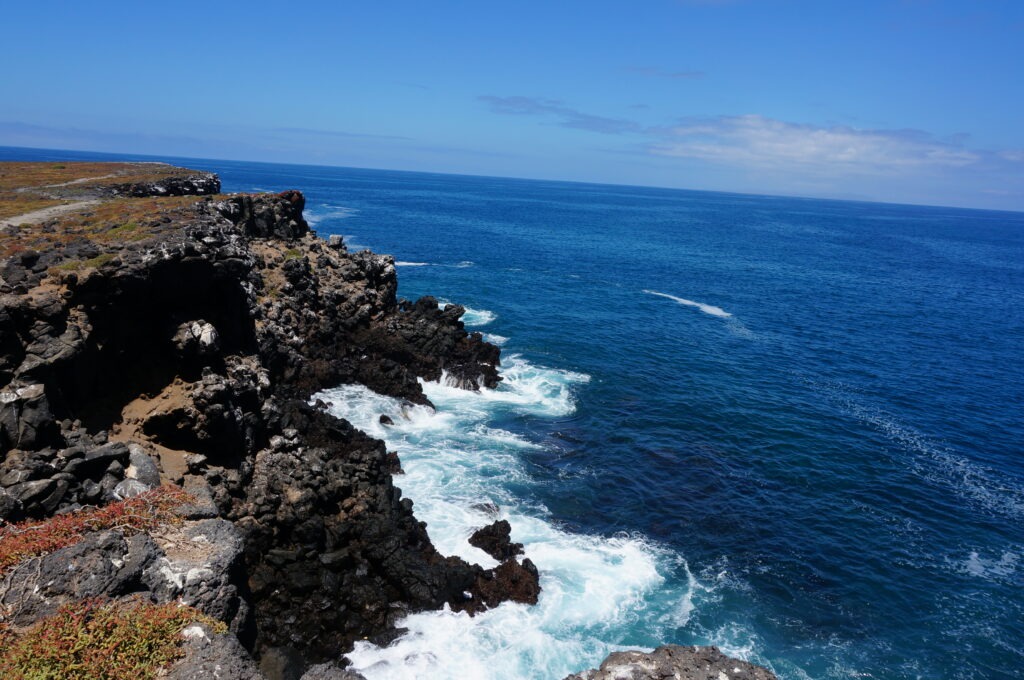 Cliffside of North Seymour Island in the Galapagos