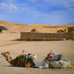 Agafay Desert Morocco yoga retreat adventure The Travel Yogi